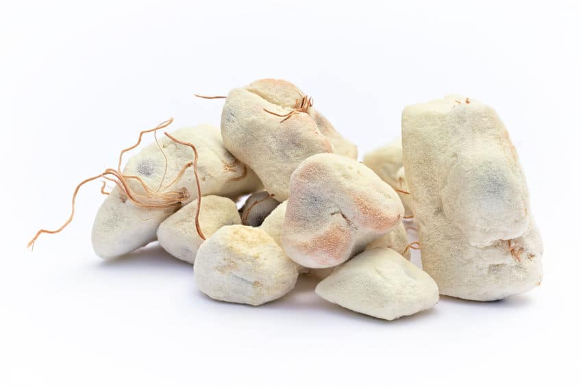 Fruit du baobab